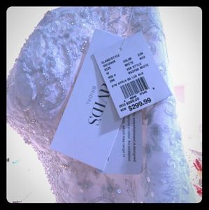 Wedding Dress from David's Bridal